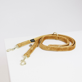 Kentucky Horsewear Hundeleine Velvet Loop 2m - Mustard