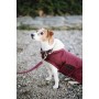 Kentucky Dogwear Hundehalsband Plaited - Bordeaux