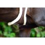 Kentucky Horsewear Langgurt Anatomic mit Schaffell Schwarz