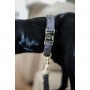 Kenucky Dogwear Hundehalsband Wool - Grau